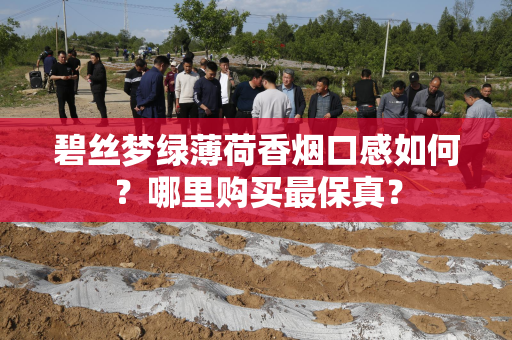 碧丝梦绿薄荷香烟口感如何？哪里购买最保真？