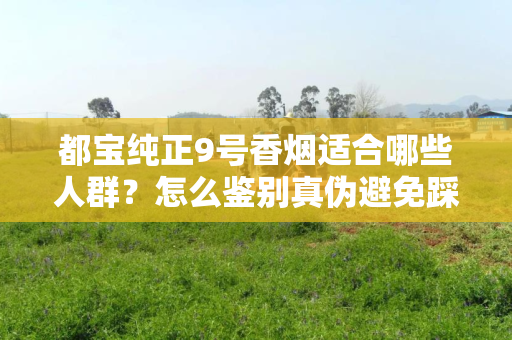 都宝纯正9号香烟适合哪些人群？怎么鉴别真伪避免踩坑？